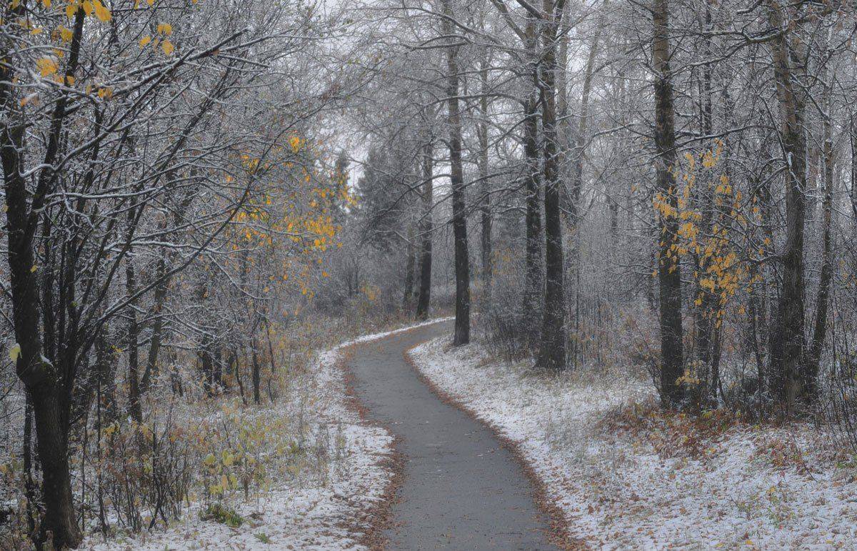 киров, Владимир