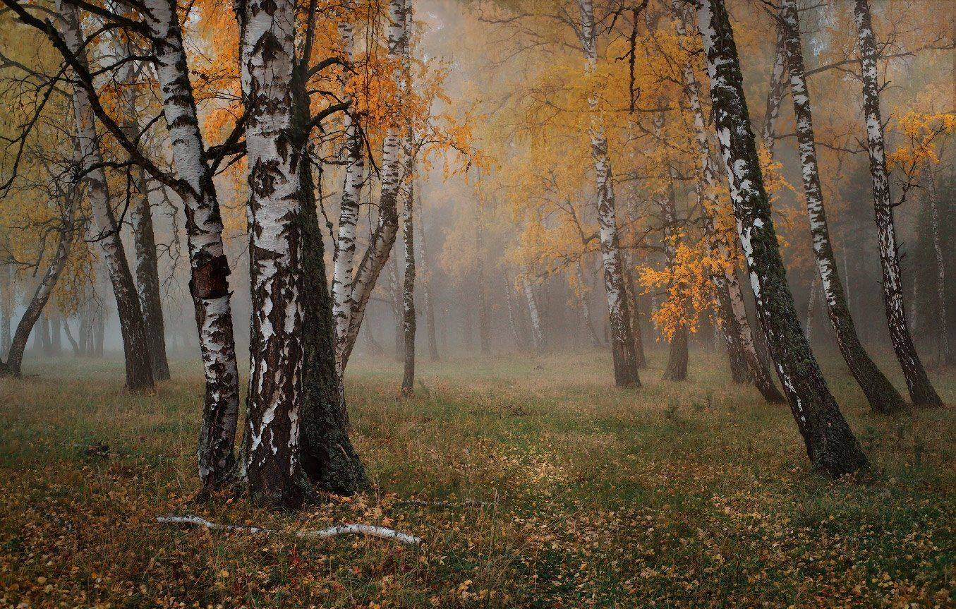 , Владимир Ляпин