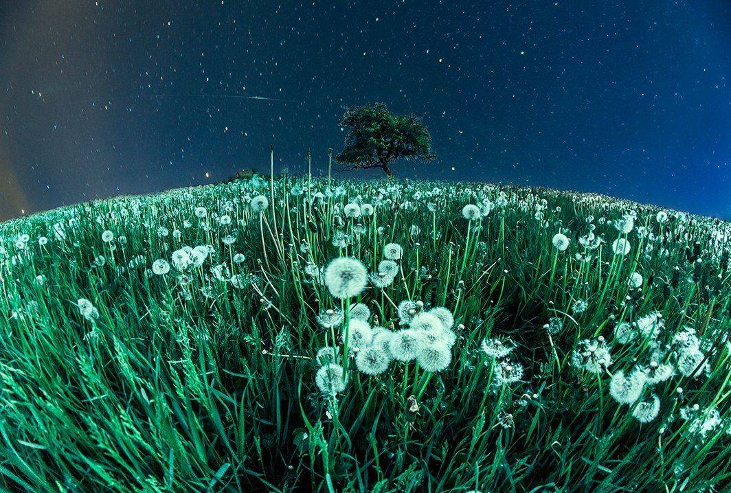 Мечта, Ночь, Пейзаж, Сказка, Уединение, Kljuchenkow Aleksandr