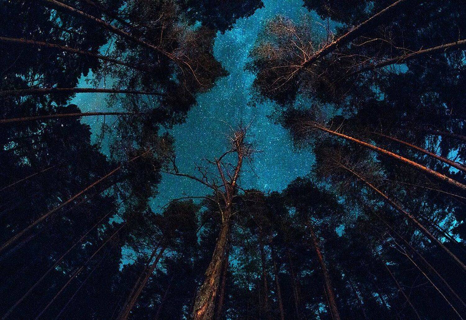 Глубина, Ночь, Пейзаж, Сознание, Эстония, Kljuchenkow Aleksandr