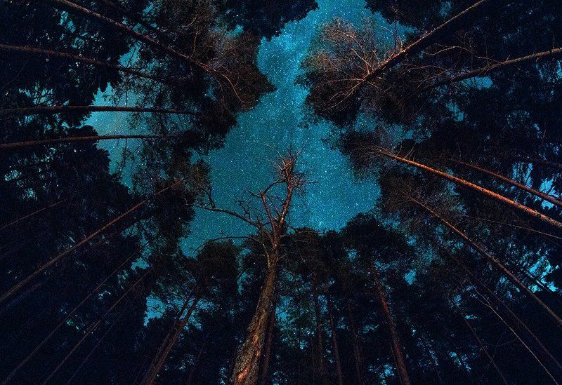 Глубина, Ночь, Пейзаж, Сознание, Эстония Глубина фото превью