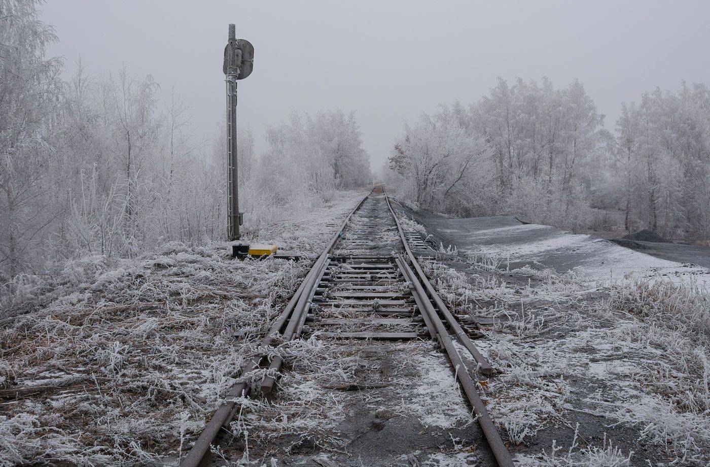 , Руслан Сигушин