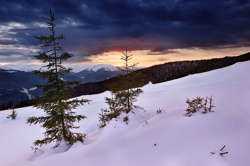 Nightfall фото превью