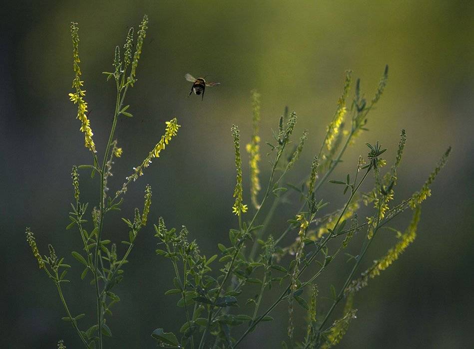 , Петрова Татьяна