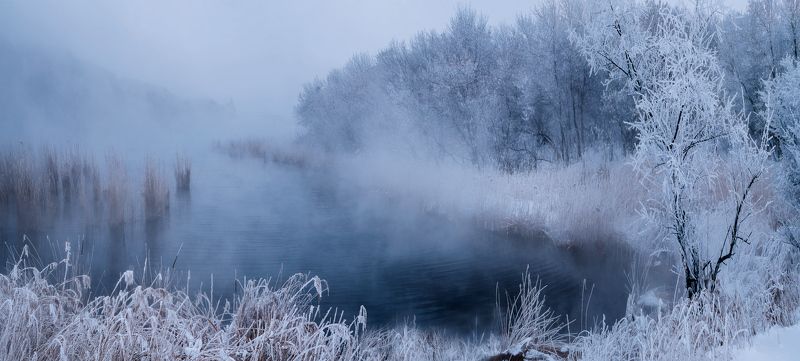 Синий туман похож на обман... фото превью