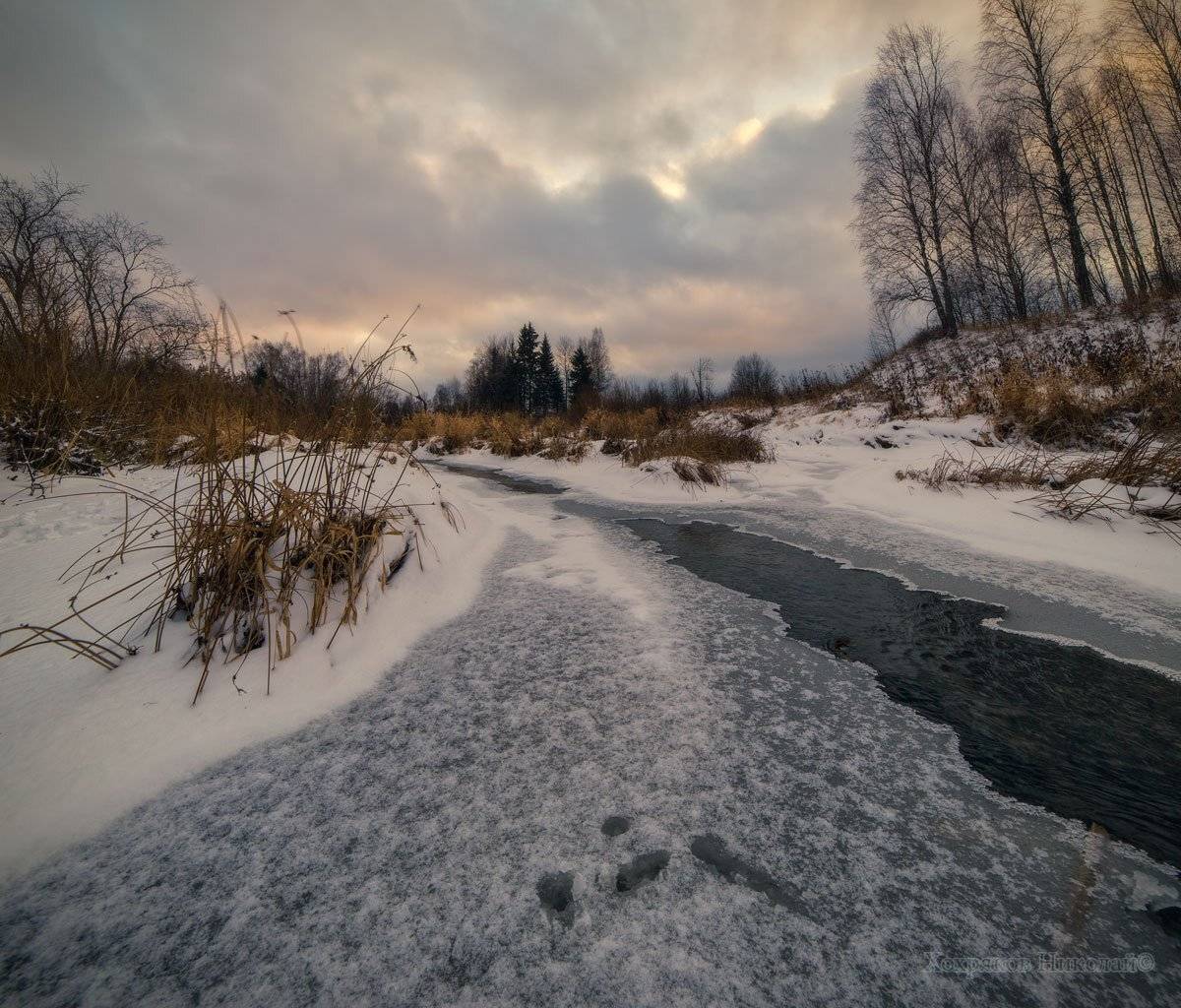 , Хохряков Николай