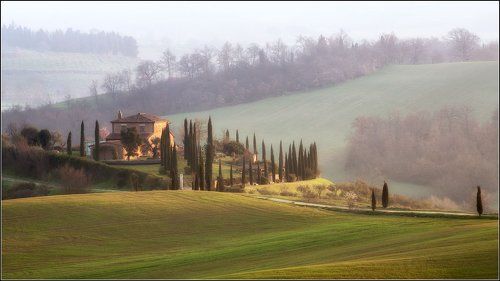 Золотистые холмы Тосканы