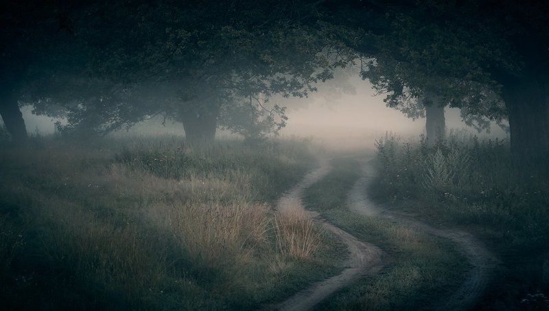 Morning mystical...