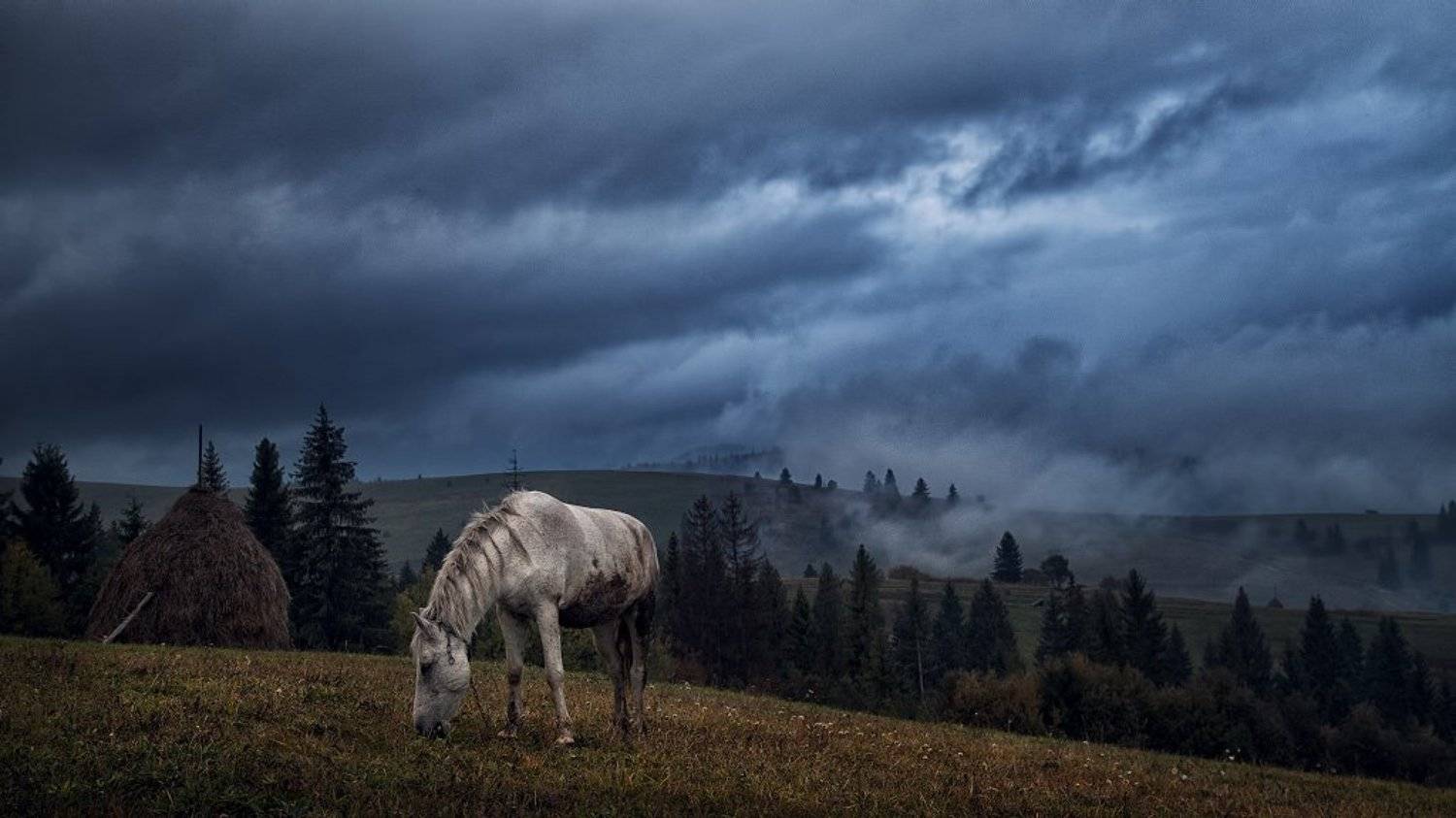, Скалин Алексей