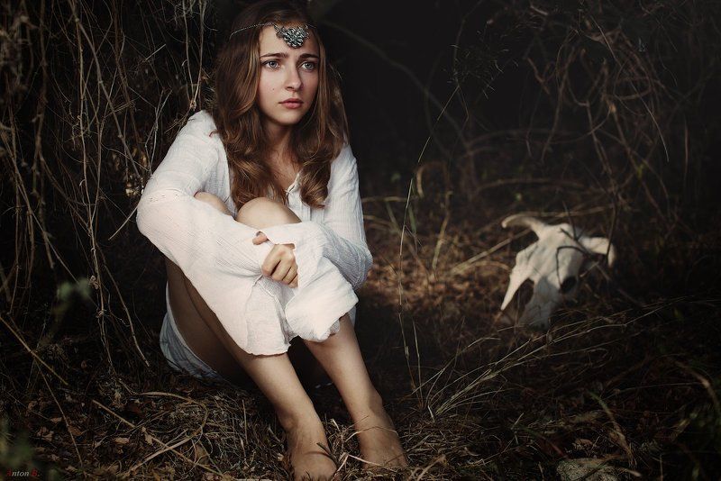 Lost in the woods фото превью