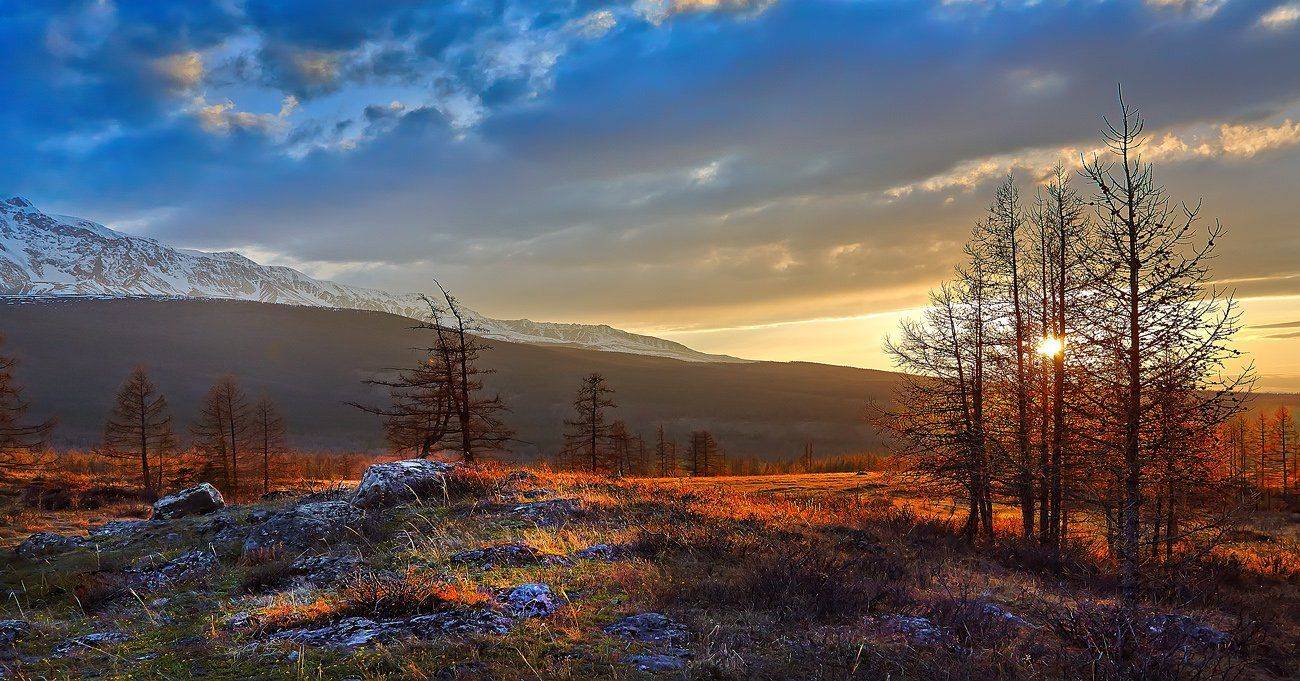 , Качурин Алексей