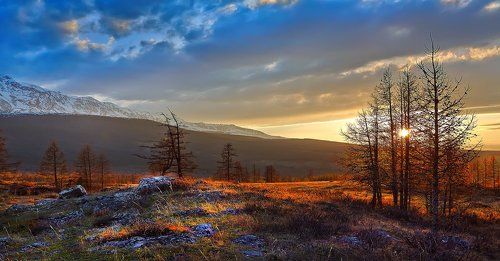 Сolors of the sunset...