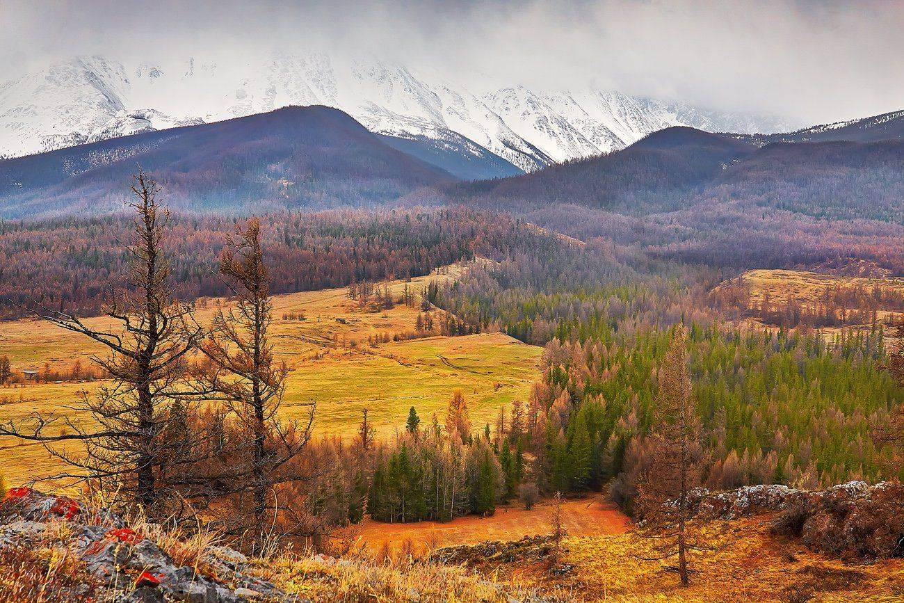 , Качурин Алексей