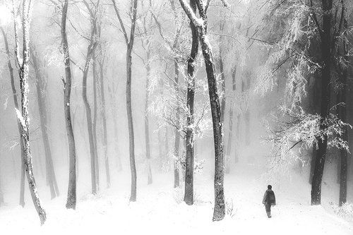 Admiring the silence