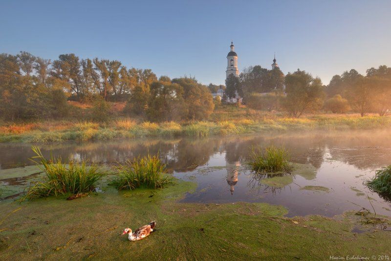 *** фото превью