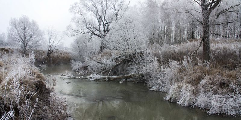 Деготня, Иней, Ноябрь, Осень, Река Белый ноябрь фото превью