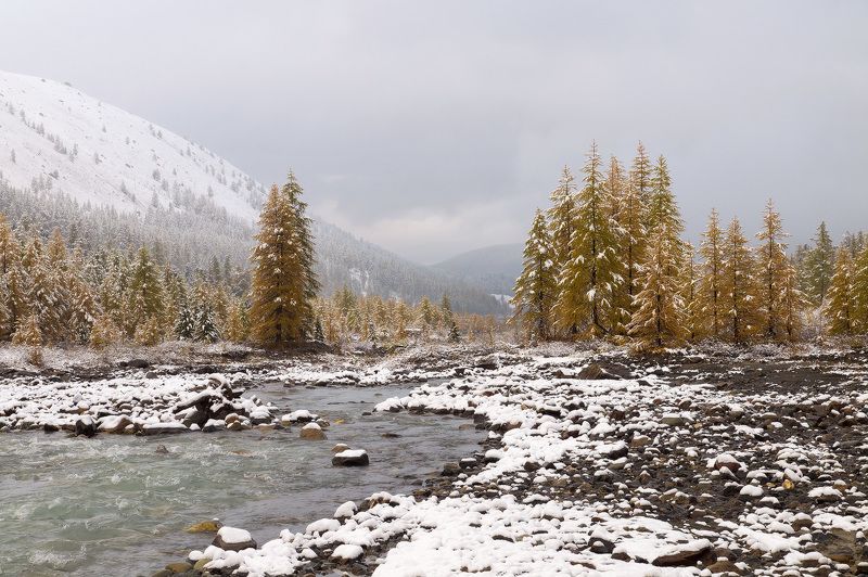 ...Актру.Осень... фото превью