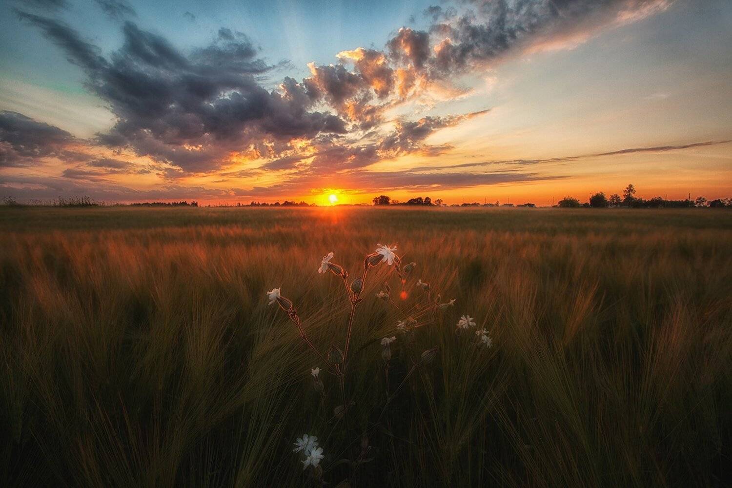 2014, Вечер, Закат, Лето, Нарва, Эстония, Kljuchenkow Aleksandr