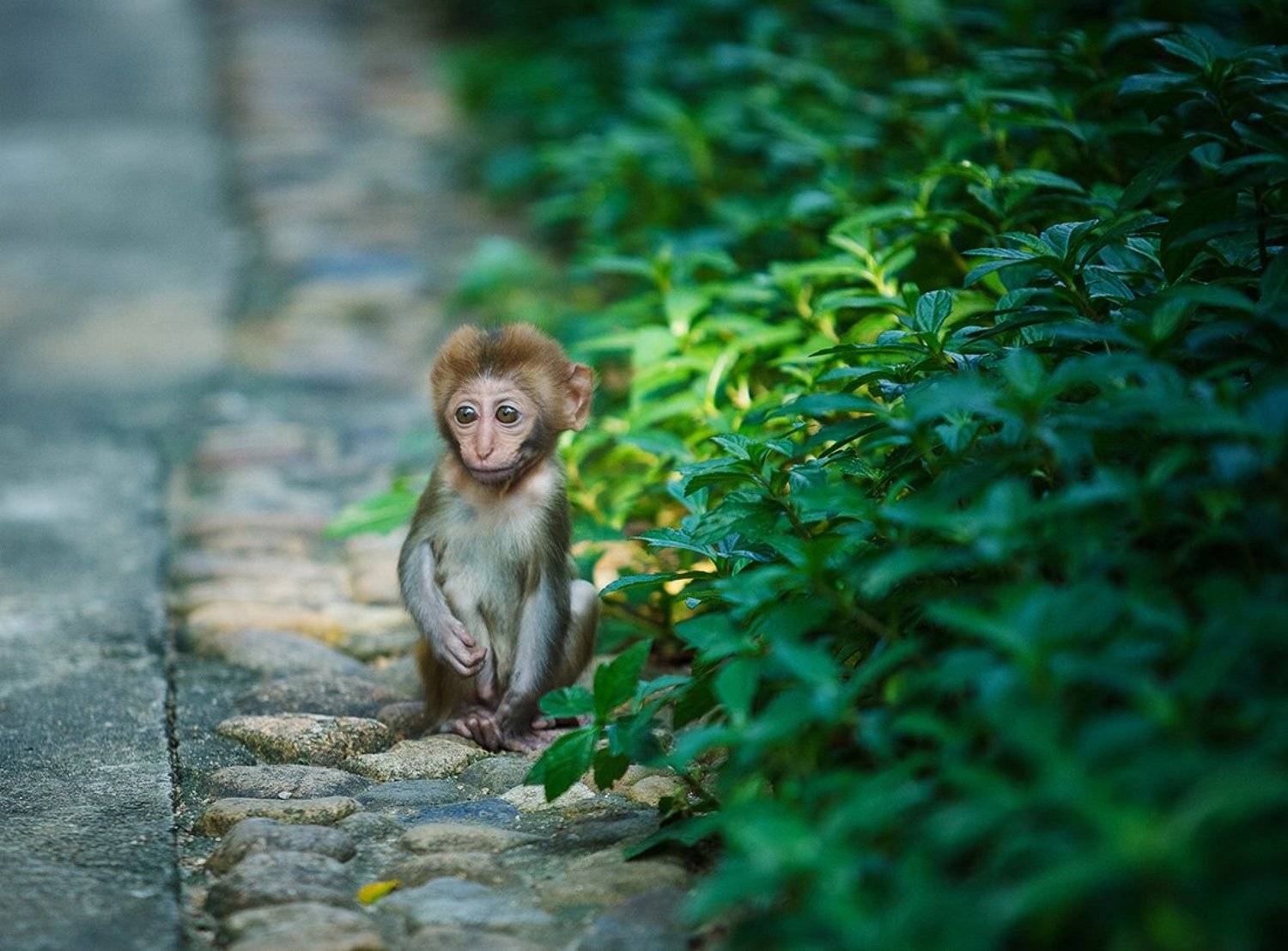 , Андрей Хитайленко