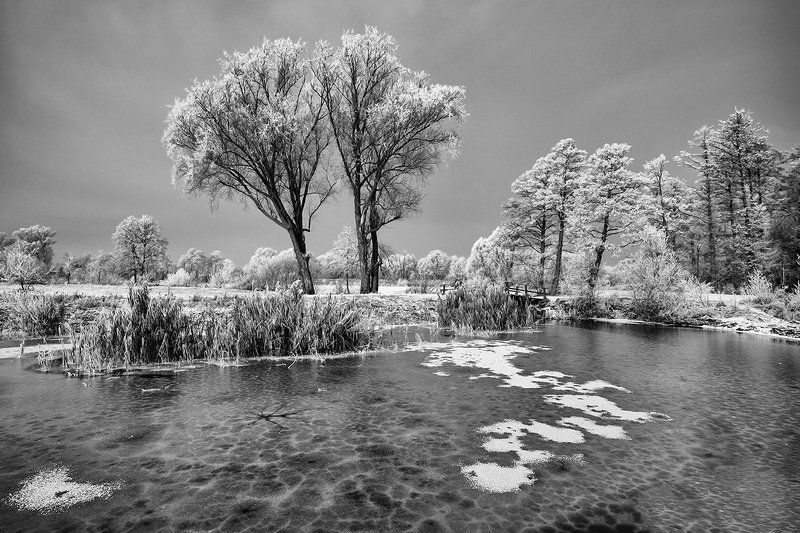 Winter фото превью