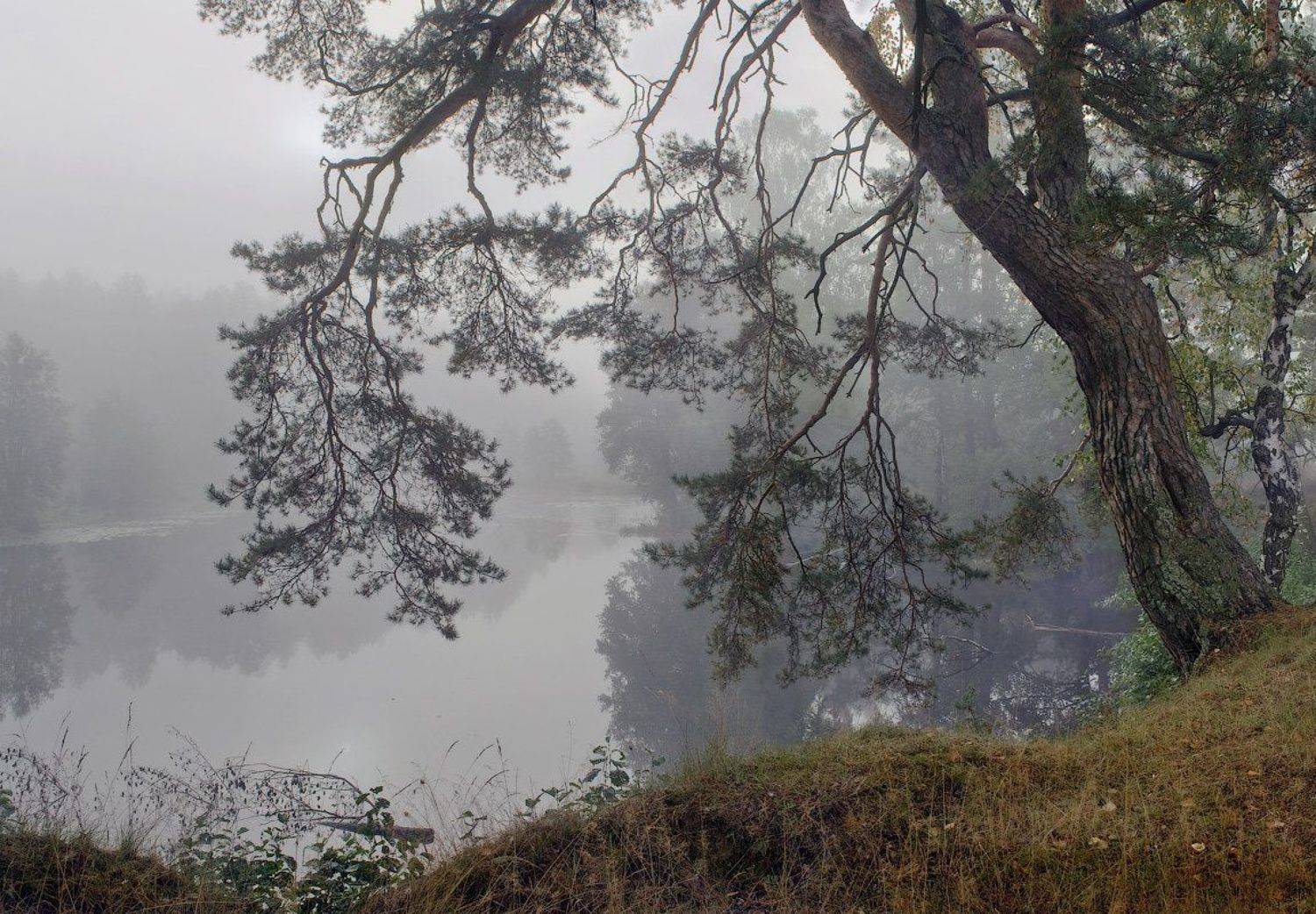 , Дмитрий Алексеев