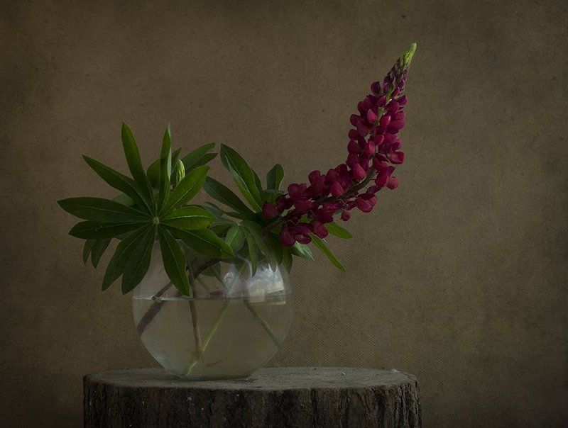 Оптимист и пессимист фото превью