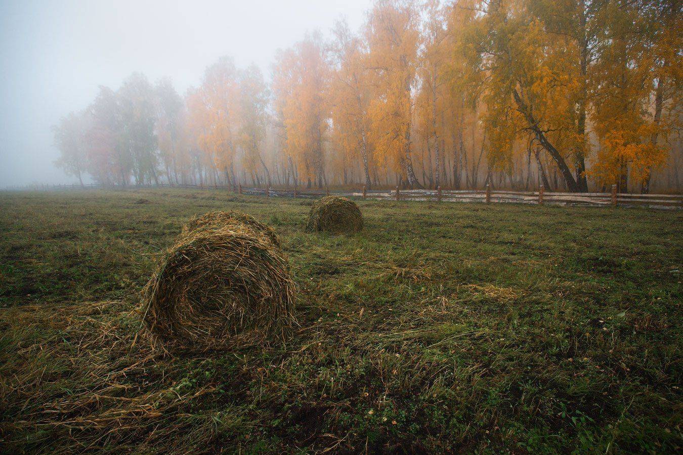 , Владимир Ляпин