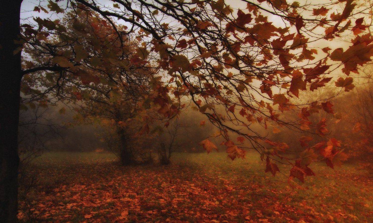 , Михаил  Пилипенко