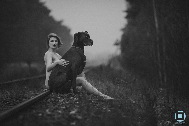 () фото превью