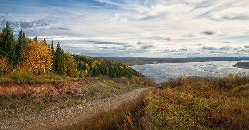 У берез и сосен тихо бродит осень...