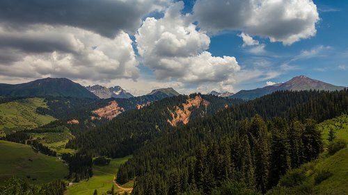 про рыжие шрамы… и шар цвета хаки