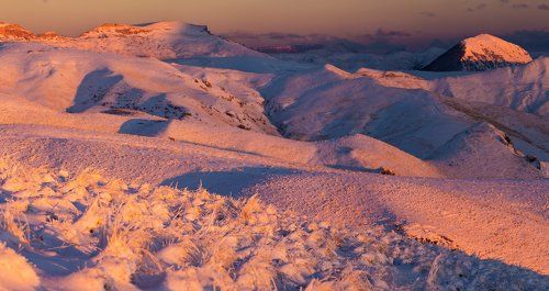 Розовый закат