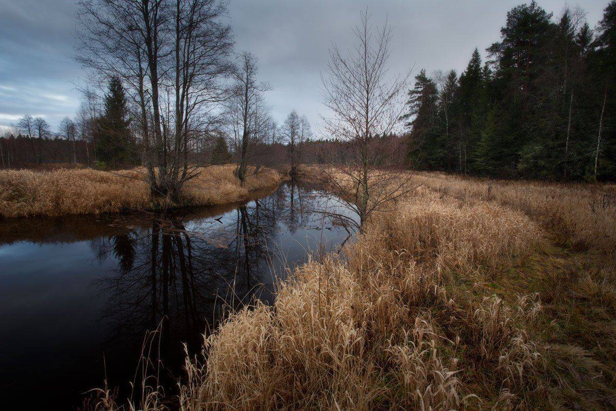, Хохряков Николай