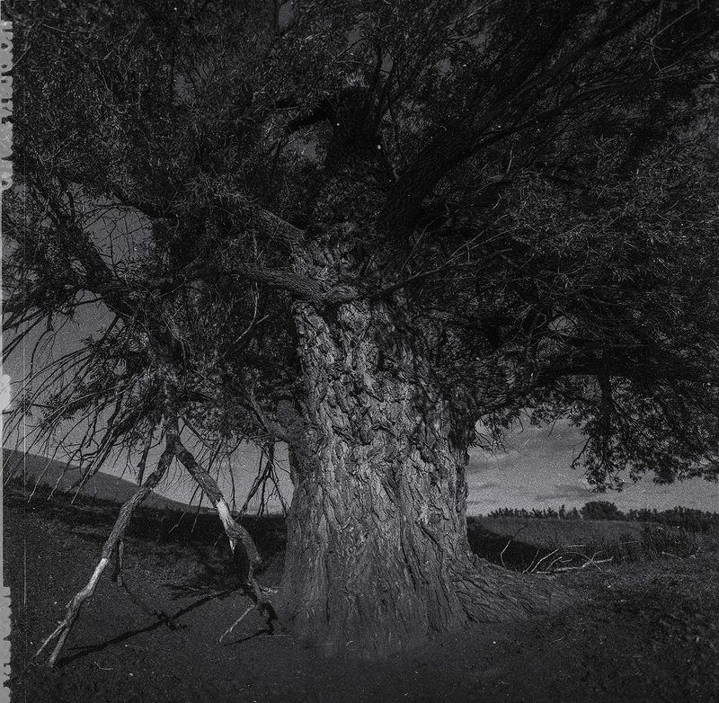 * фото превью