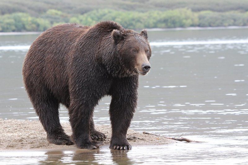 Главный фото превью