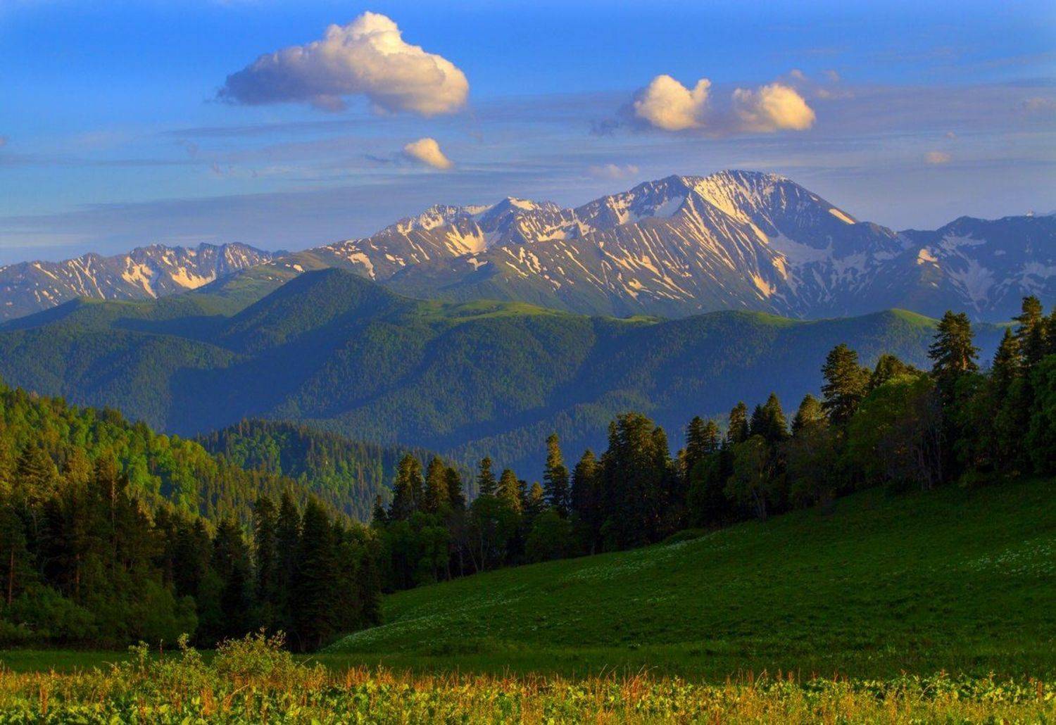 , Александр Перевозов