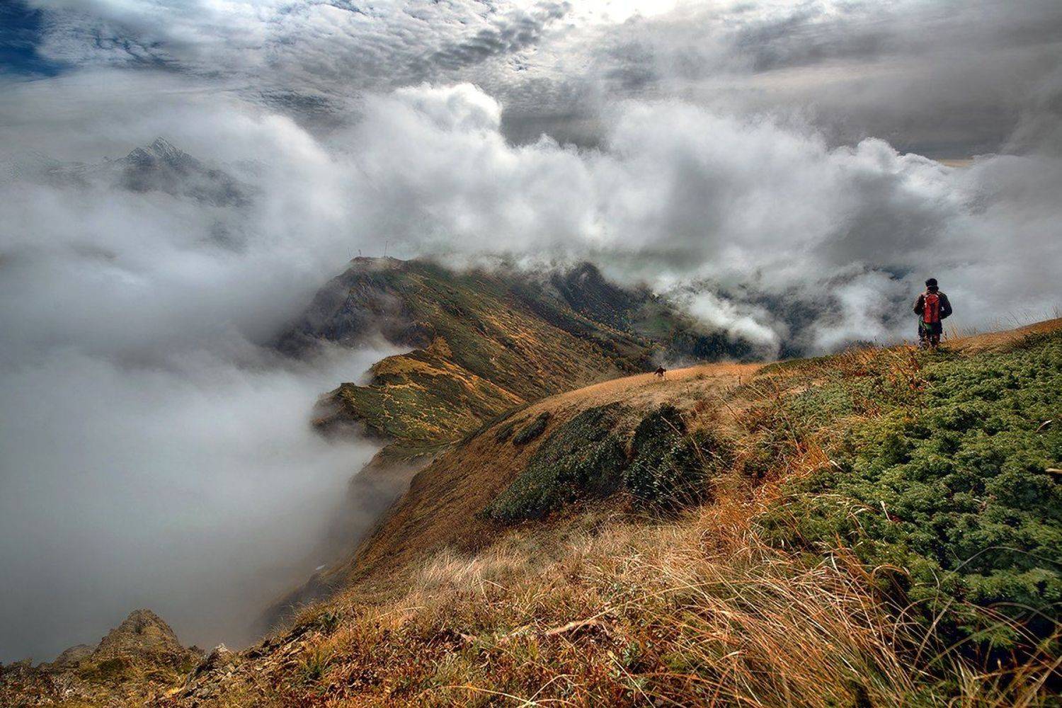 , Месилов Сергей