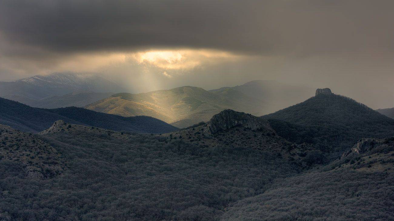 , Роман Рысь