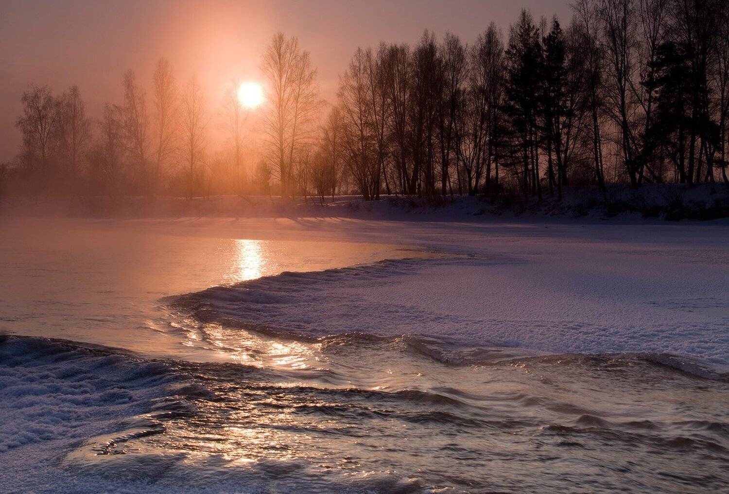 , Николай Морский