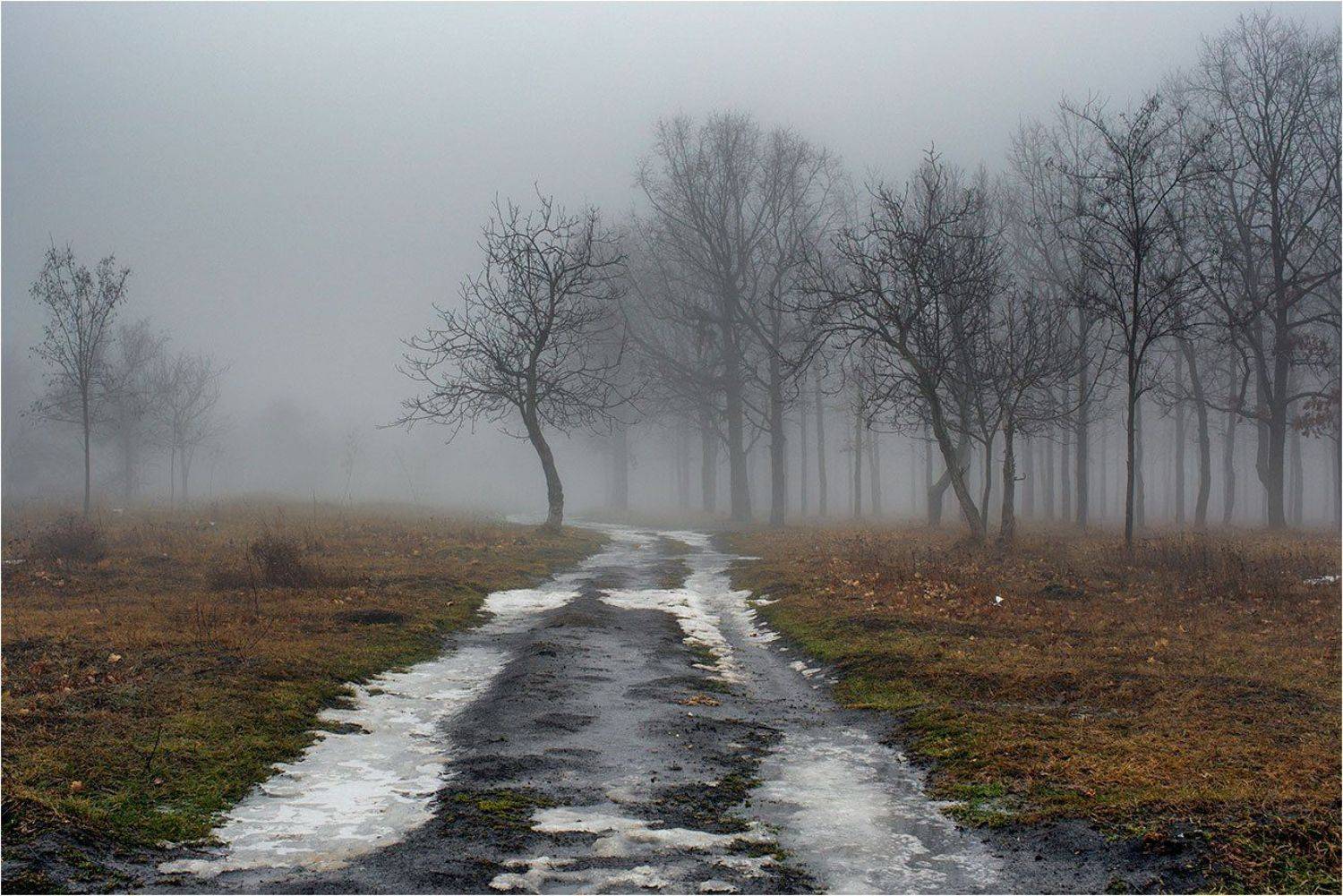 , Сергей Дымченко