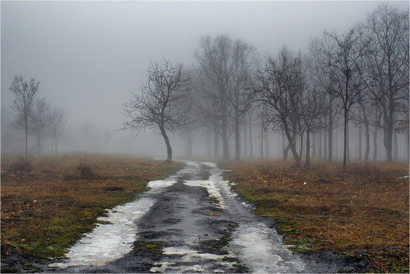 фото фото превью