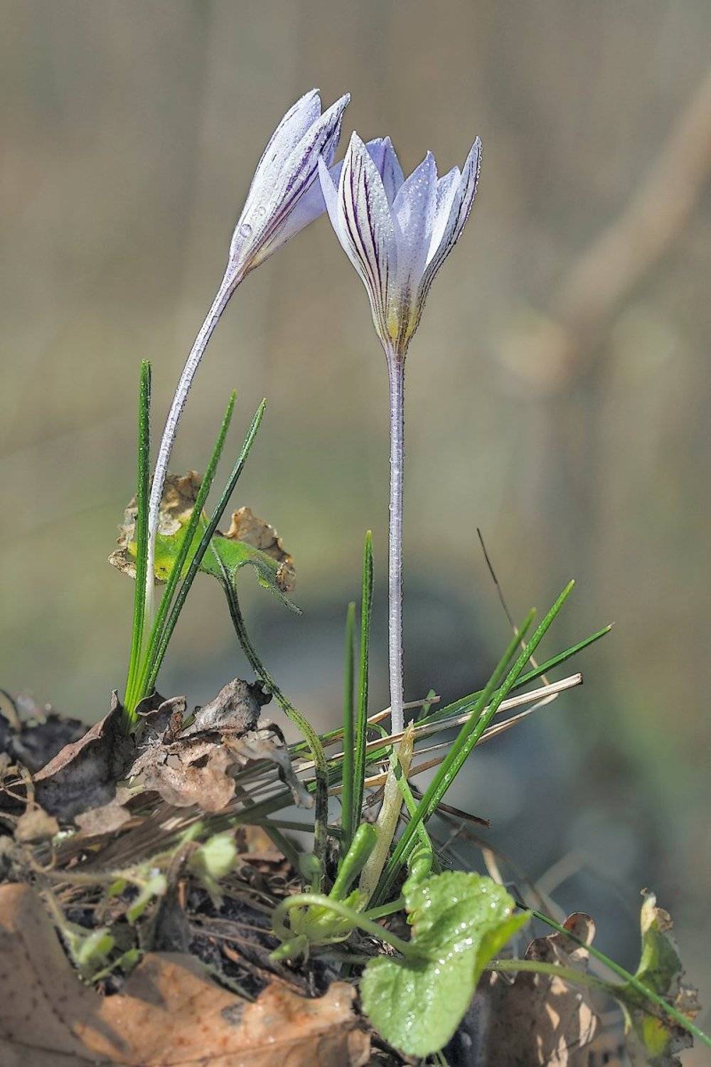 , Аркадий Московченко