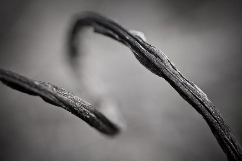 root фото превью