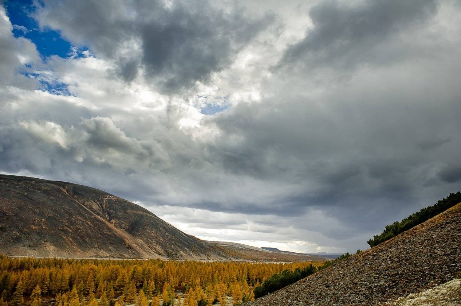 , Евгений Радченко