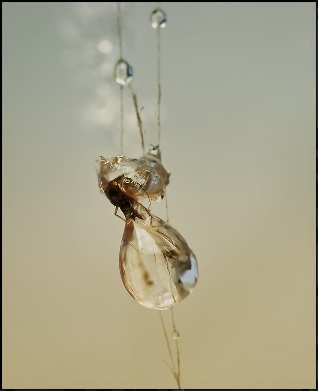 Мешочек от Дедушки... фото превью