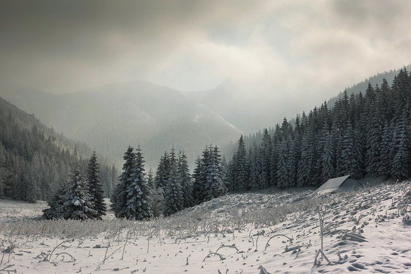 А просто зима... фото превью