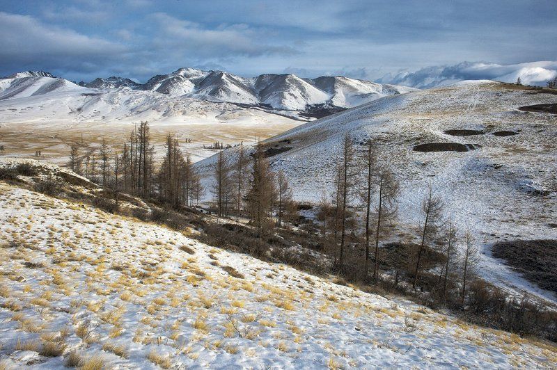 сахар, пепел и табак... фото превью
