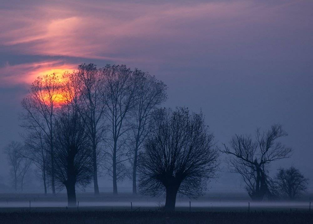 , Pawel Plucinski