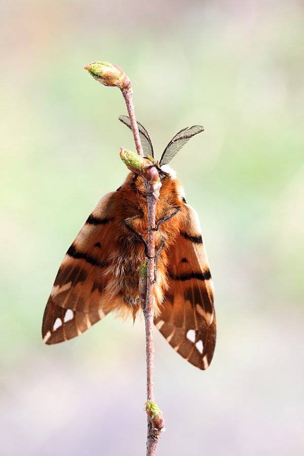 , Сергей Таланов