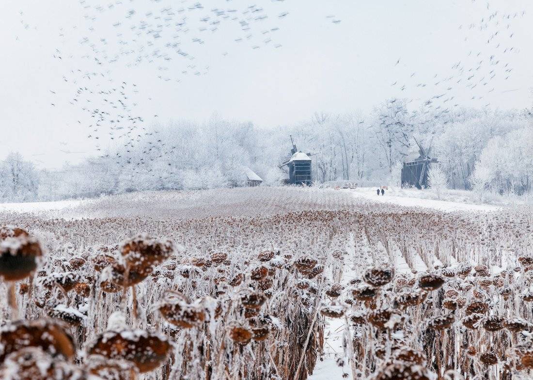 , Ярослав Тюрменко (Jaremi)